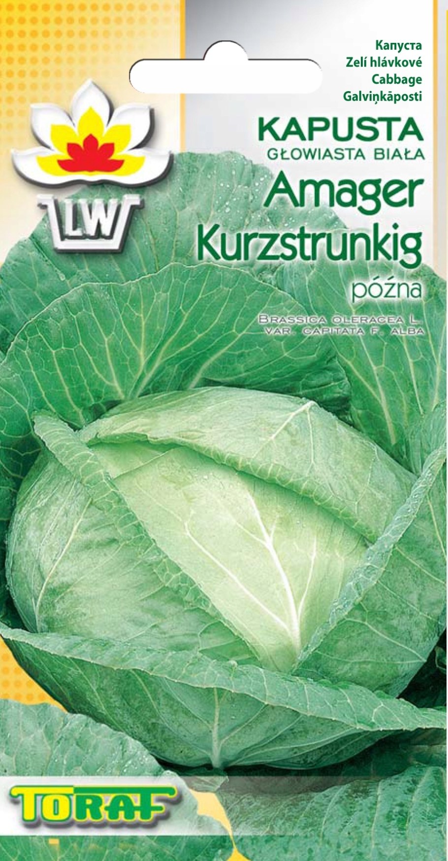 Капуста Амагер 611