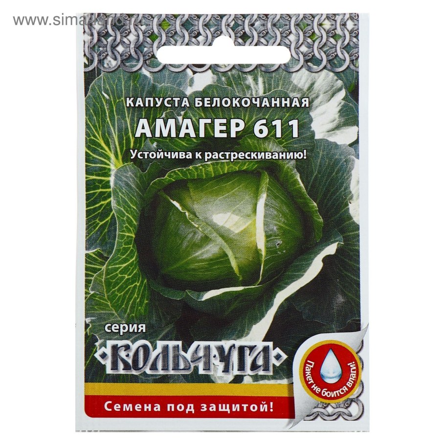 Капуста белокочанная Куизор f1