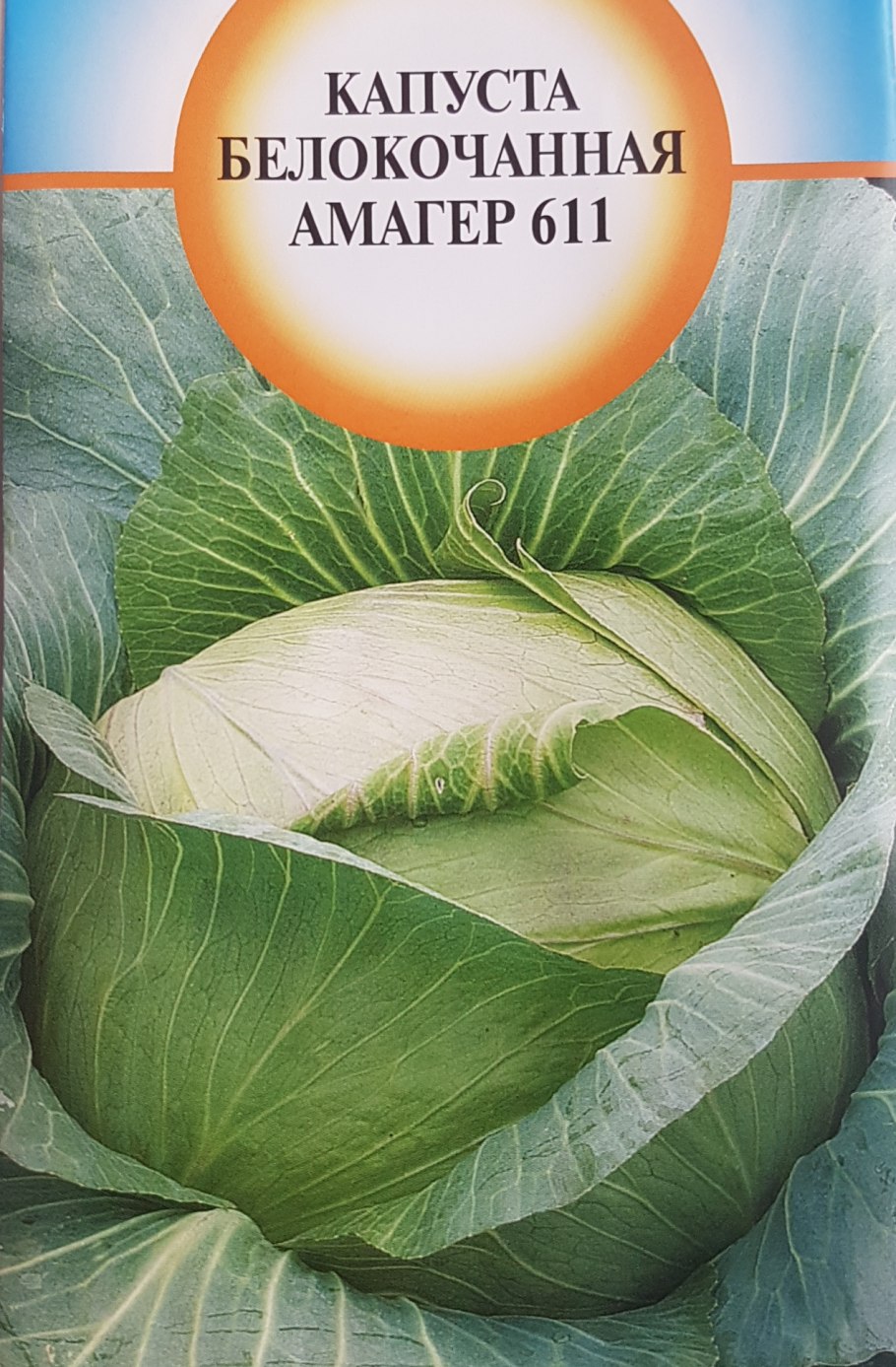 Капуста белокачанная Амагер