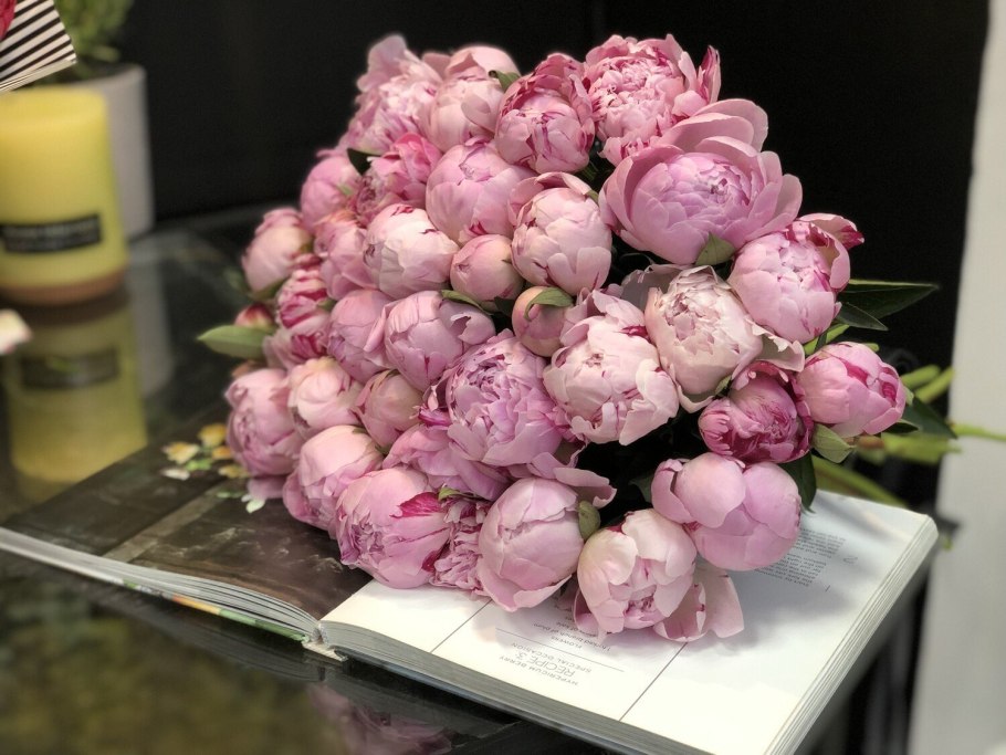 Шёлковые пионы
