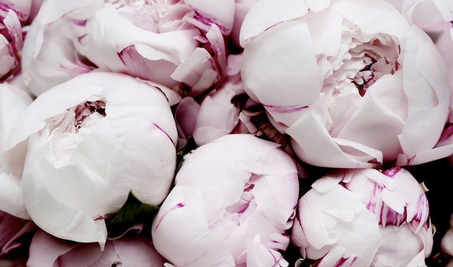 Зефирные розы букет