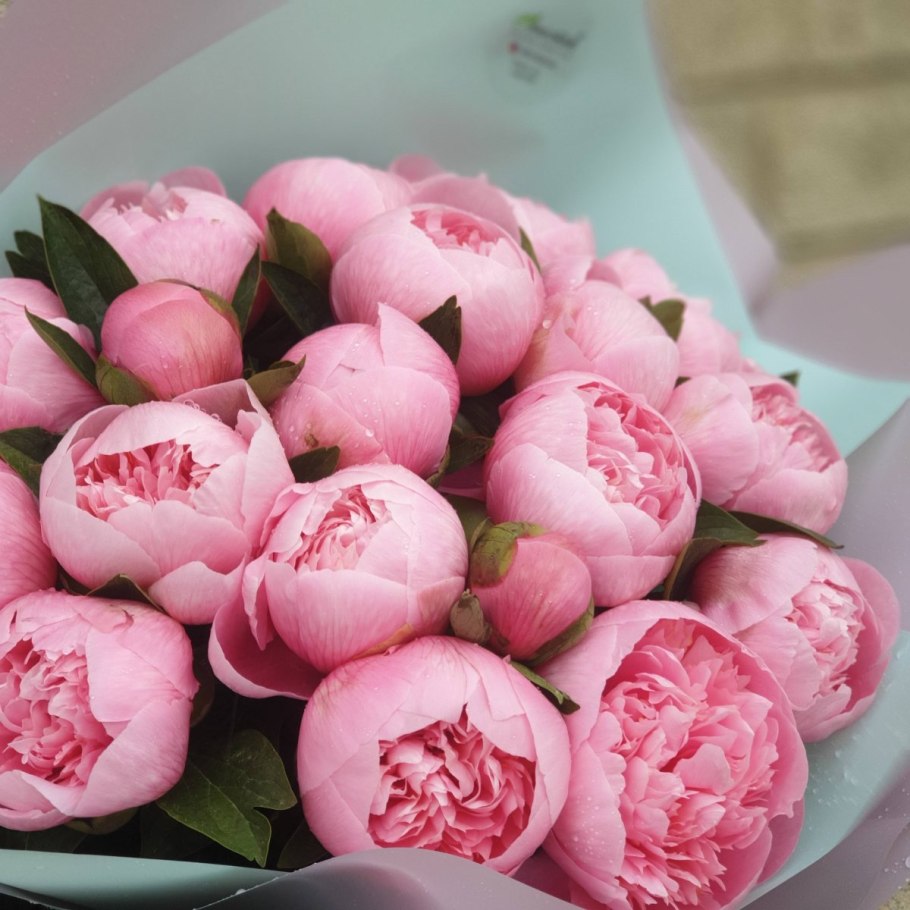 Пионы из зефира