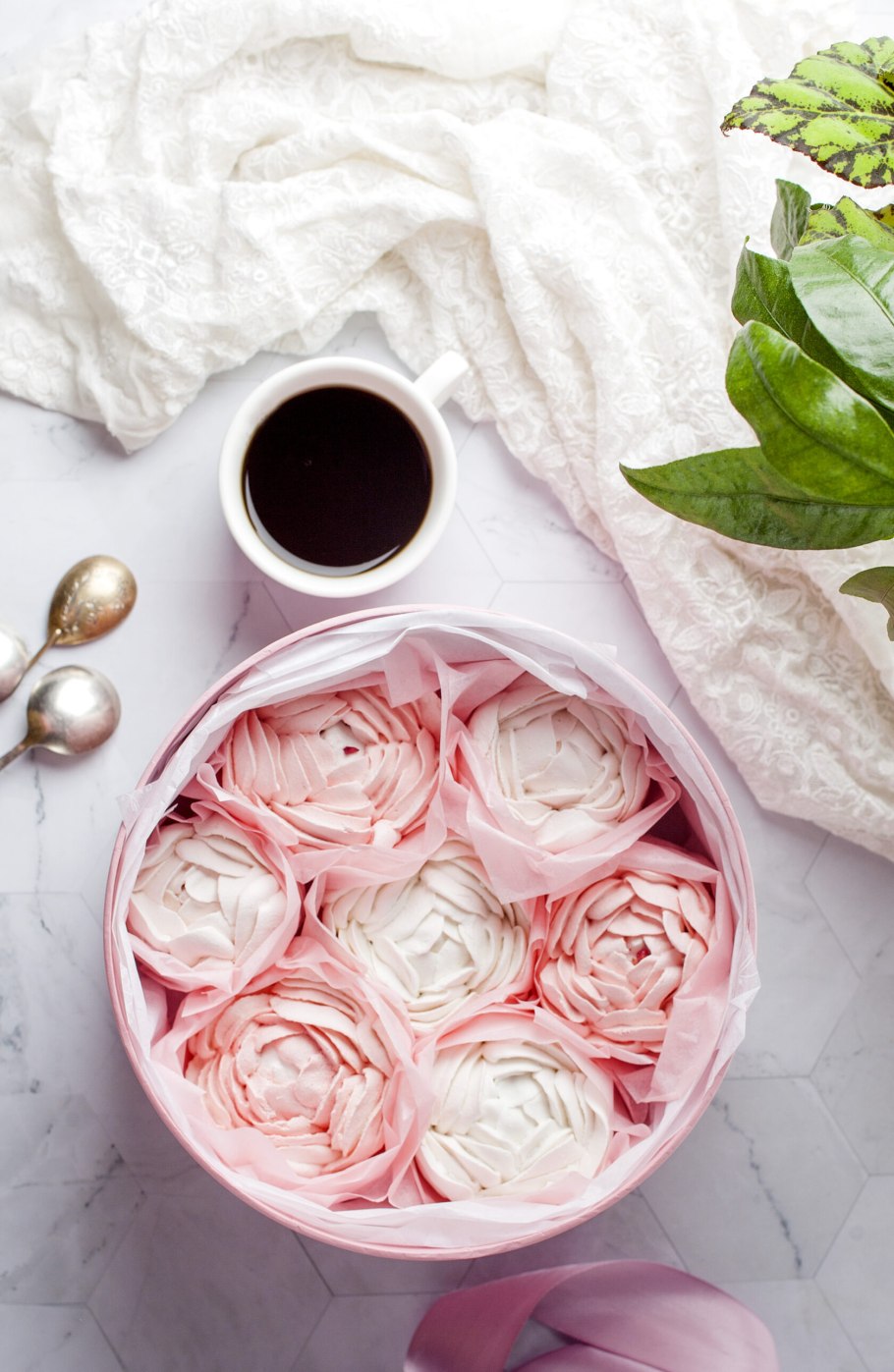 Пионы из Зефиров