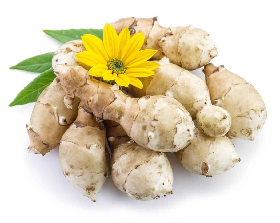 Топинамбур клубни 50г БАД