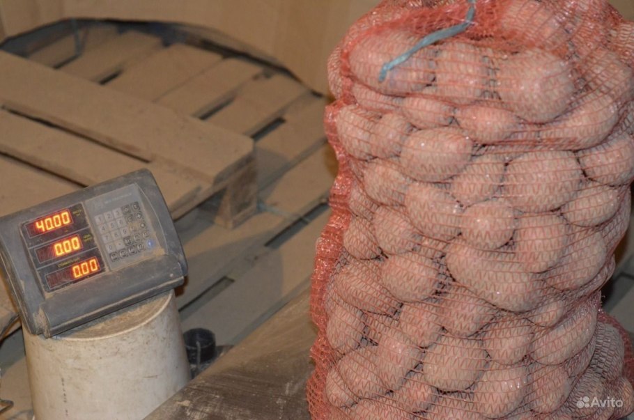 Картофель свежий