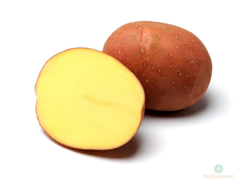 Вологодская картошка