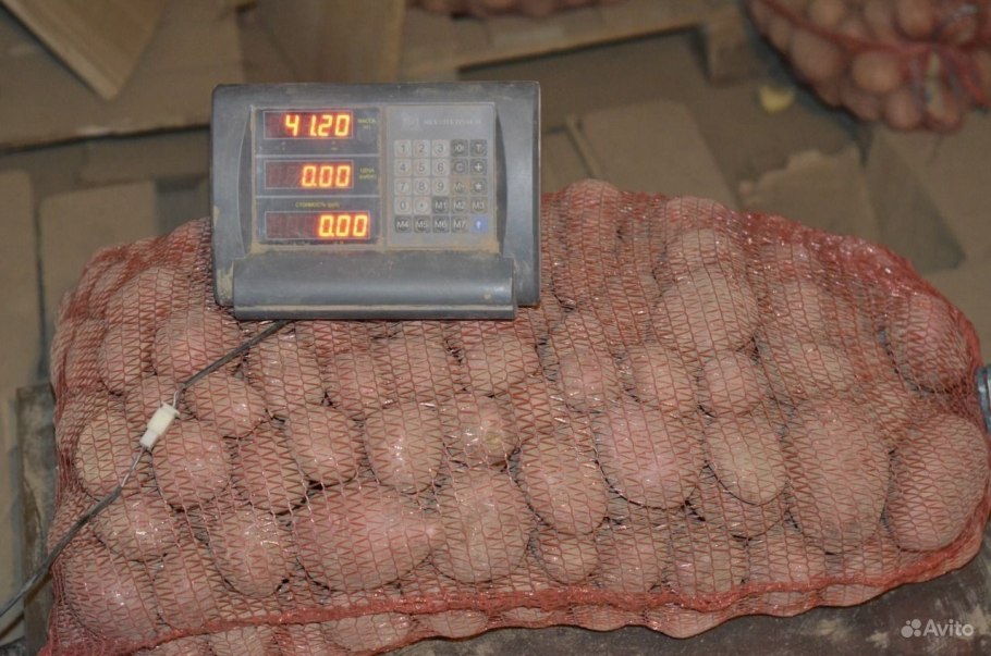 Картофель оптом