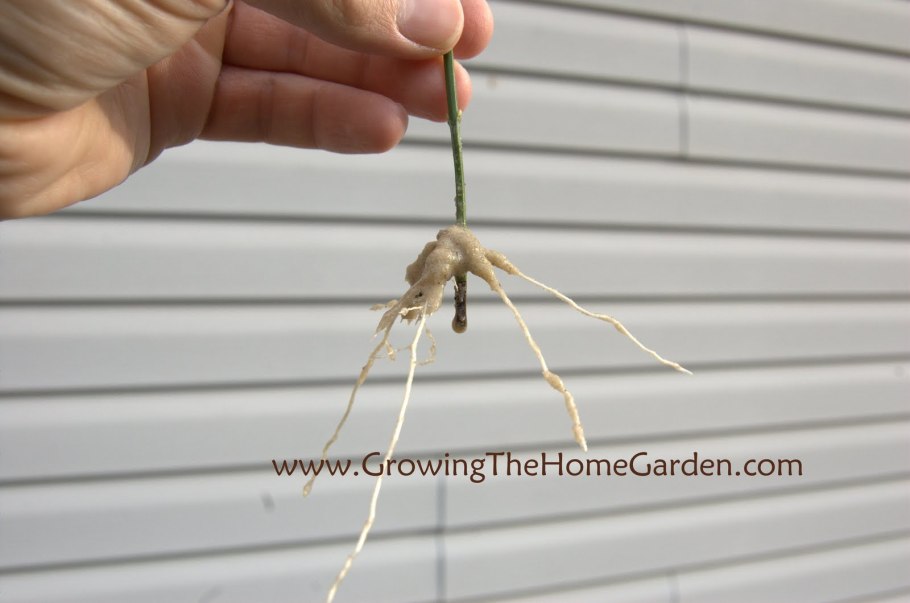 Дугообразные отводки