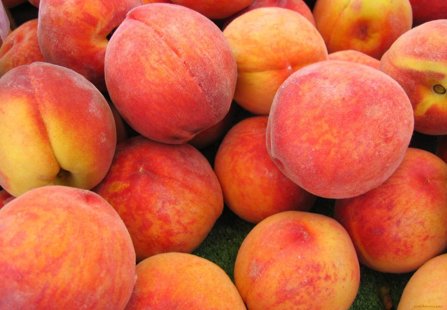 Слива алыча персиковая