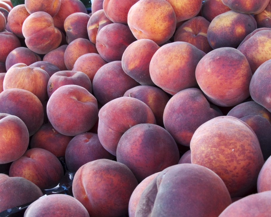 Алыча Уссурийская