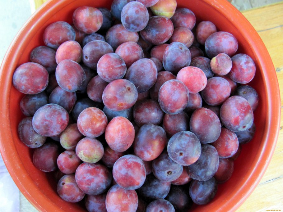 Фрукты персик слива