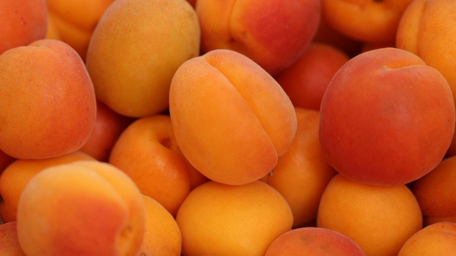 Абрикос - Prunus armeniaca