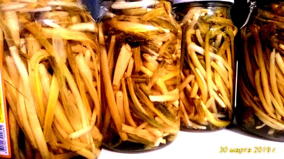 Черемша Лесная маринованная