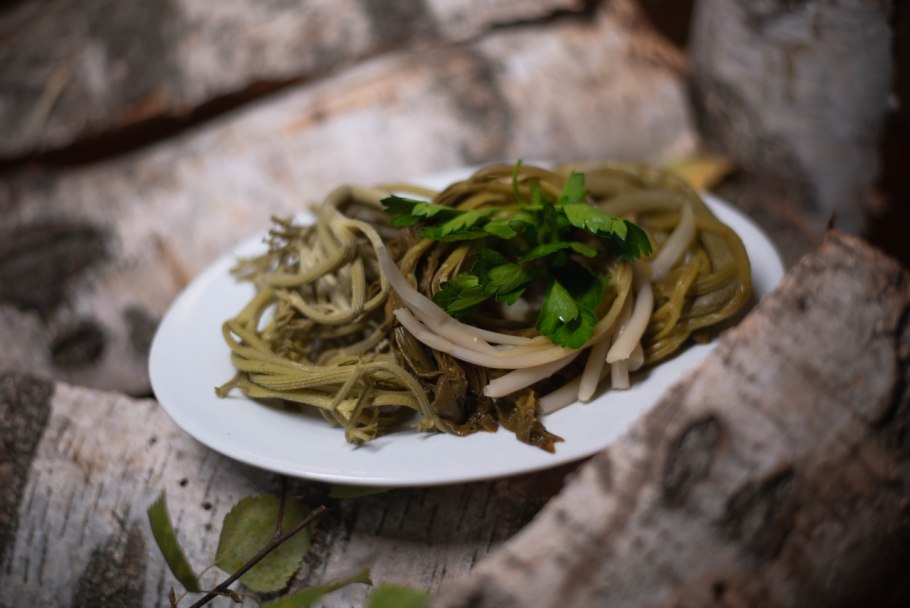 Черемша Алтайская