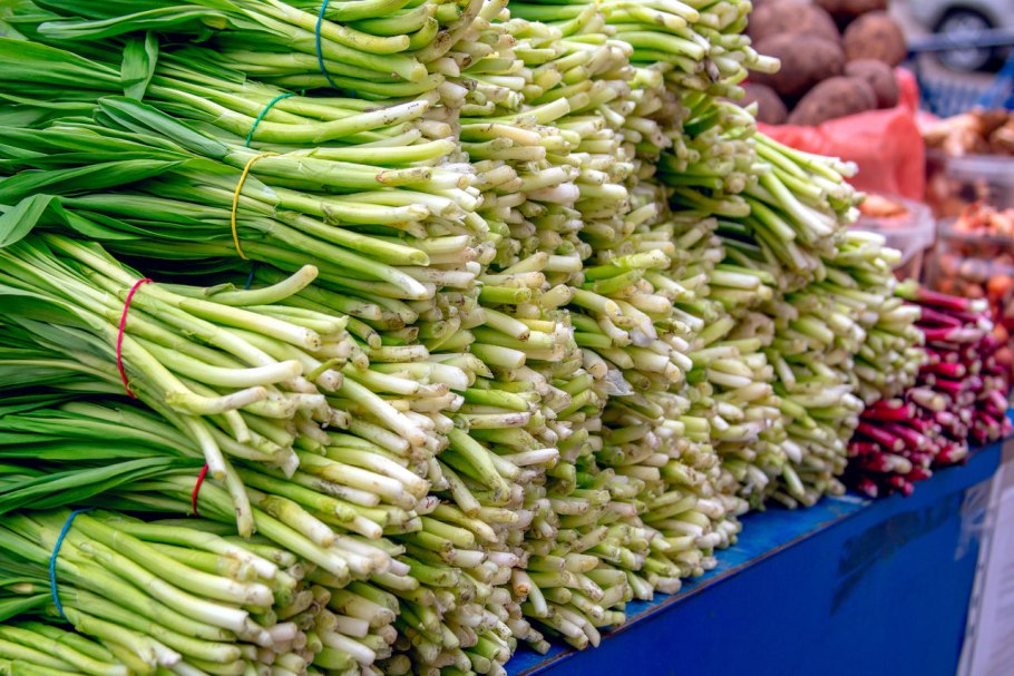 Синдрик трава