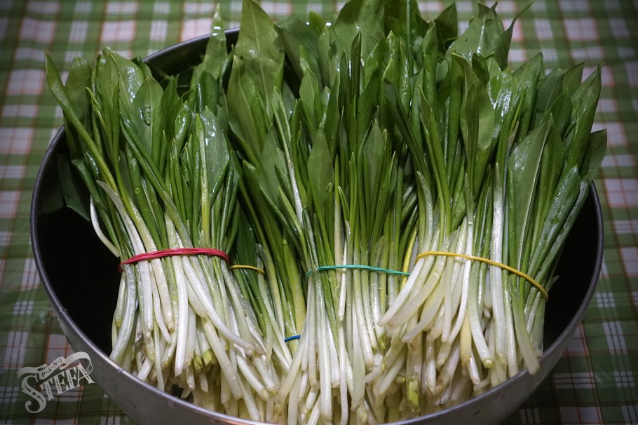 Черемша соленая