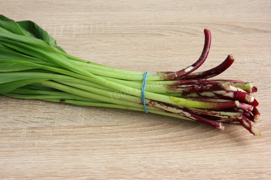 Консервирование черемши