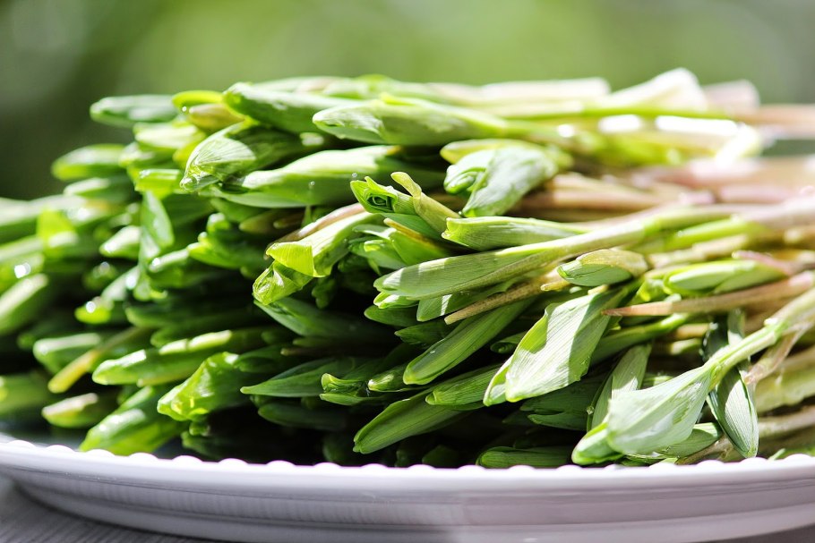 Черемша цветет