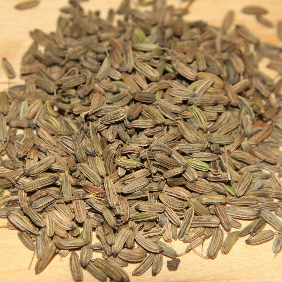 Foeniculum vulgare Mill.