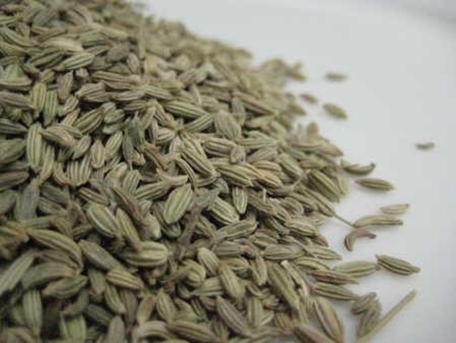 Фенхель обыкновенный Лидер