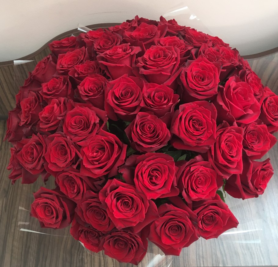 Роза Эквадор эксплорер