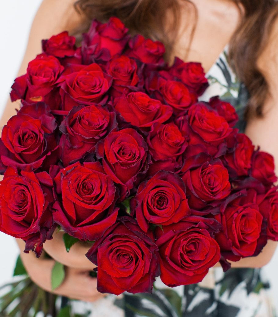 Красная роза Эквадор эксплорер