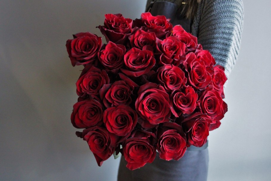 Роза эксплорер 70см Эквадор