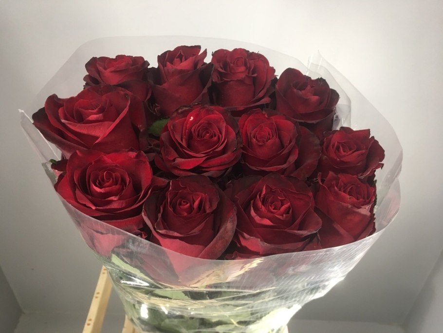 Бордовая роза Эквадор