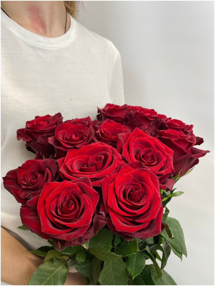 Роза хот леди Эквадор