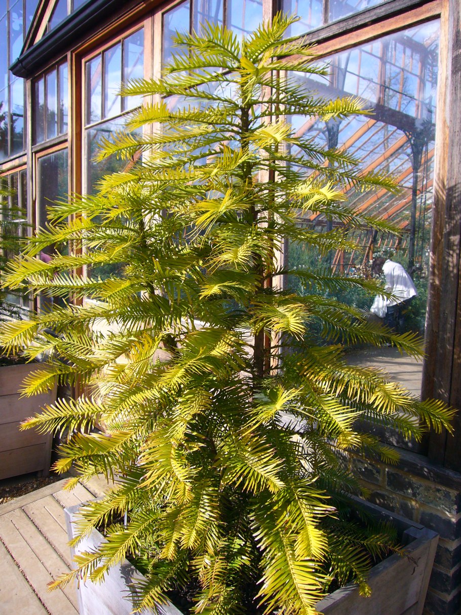 Материнская плата MSI 865gvm2-LS