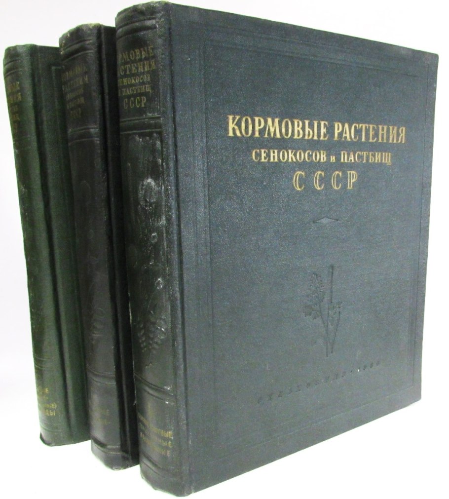 Т.А. Работнов