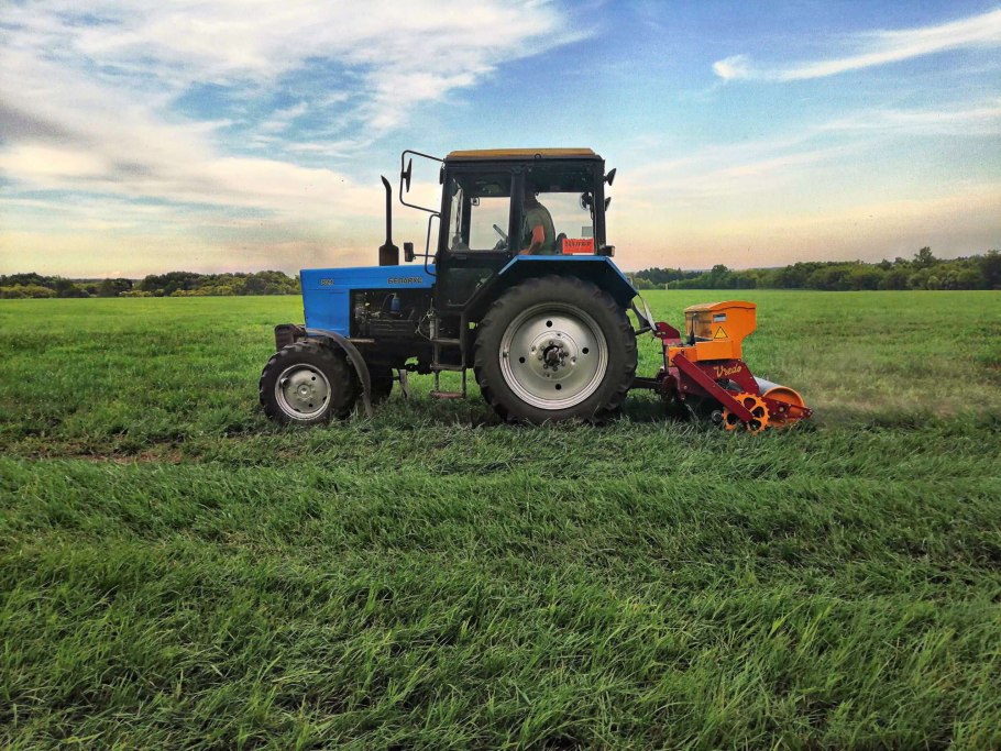 Злаковые сорняки Крыма