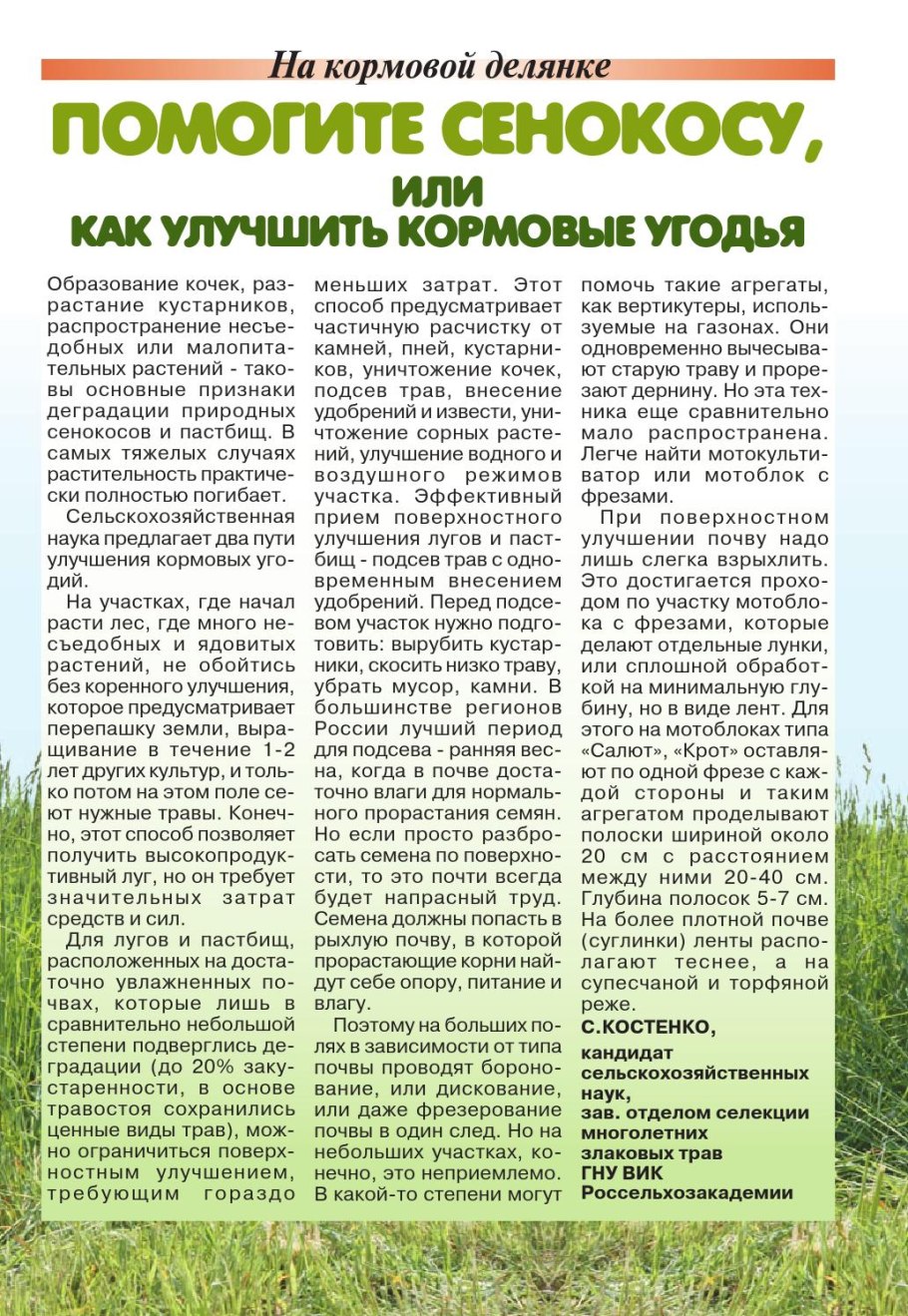 Тимофеевка Луговая