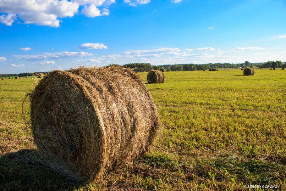 Сельское хозяйство США пашни сады Луга пастбища