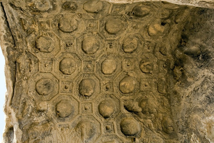 Реликтовый лес Сочи красная Поляна