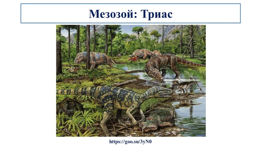 Флора Юрского периода