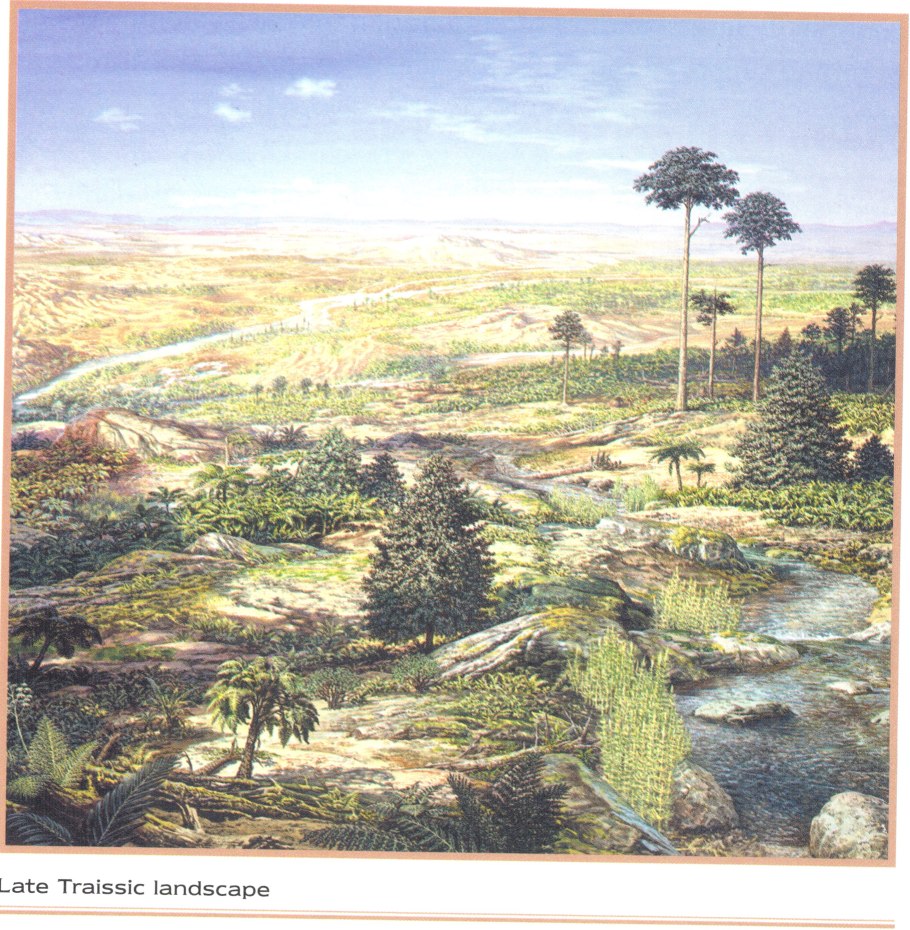 Триасовый период растения
