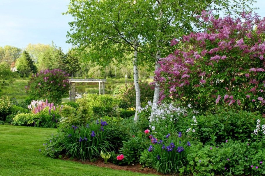 Клумба Хоста астильба гейхера