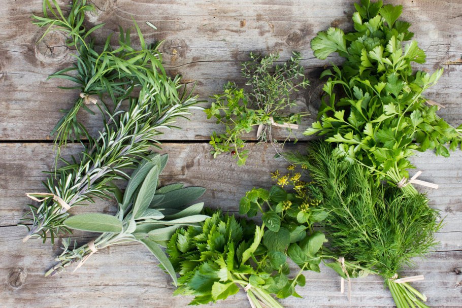 Розмарин эстрагон Любисток