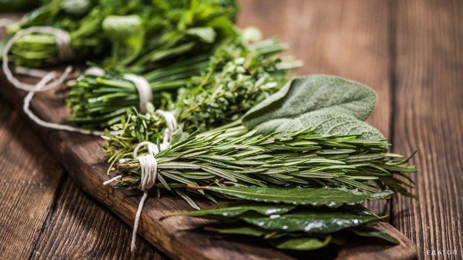 Лекарственные грядки Аптекарский огород