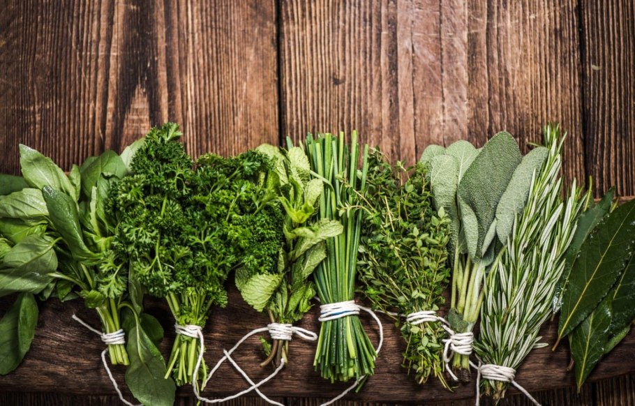 Базилик и розмарин