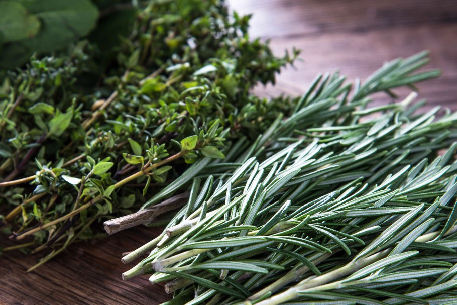 Розмарин эстрагон Любисток