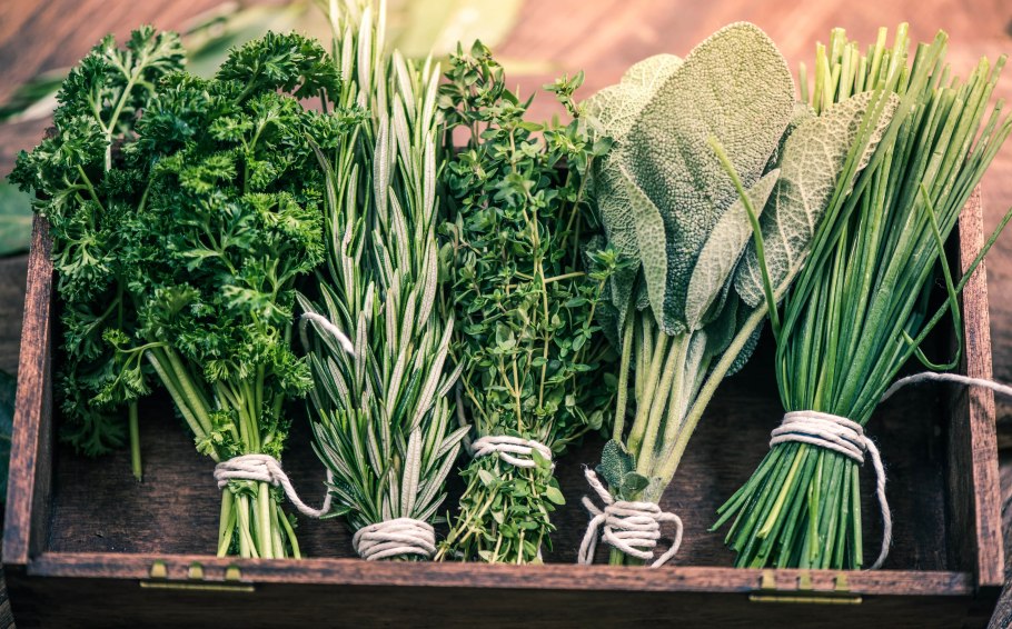 Съедобные травы