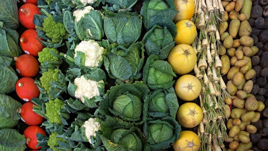 Лук шнитт дикий Луговой лук