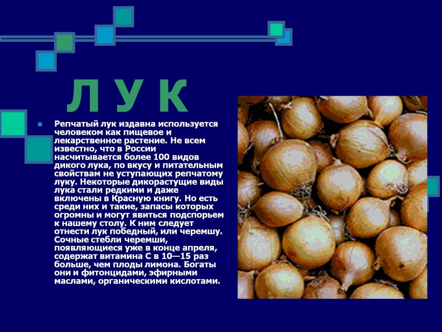 Растения нашего края