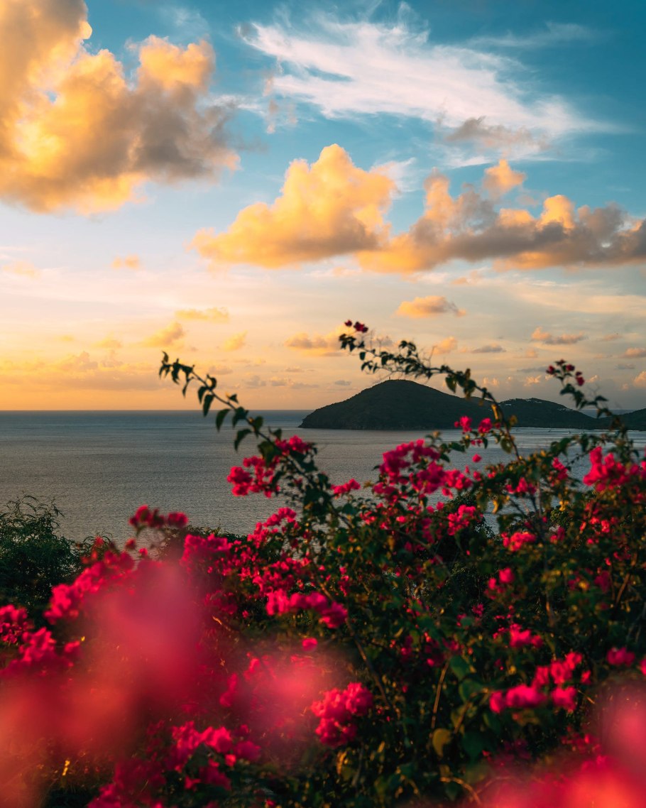 Красивый вид на море