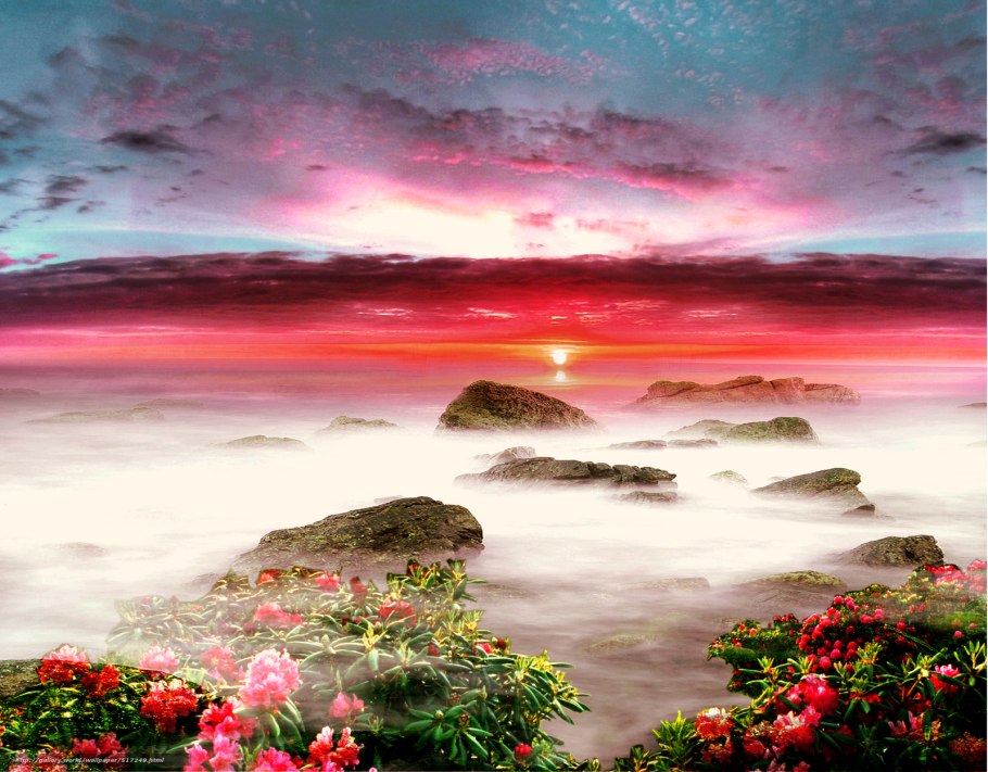 Пейзаж розовый закат