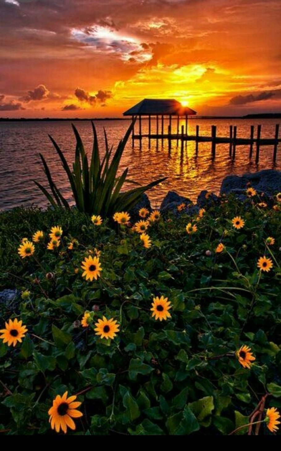 Красивый летний закат