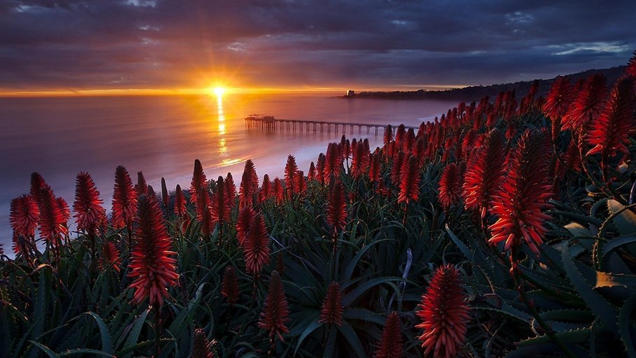 Самый красивый закат