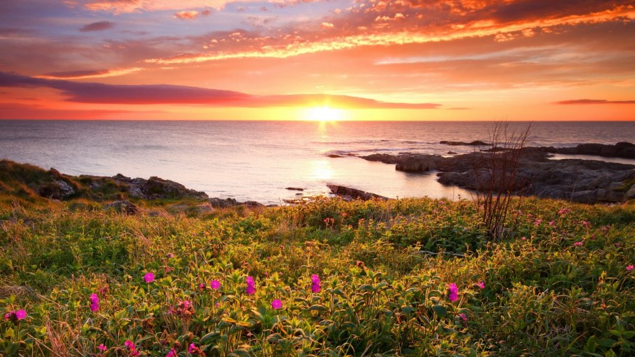 Лето море рассвет